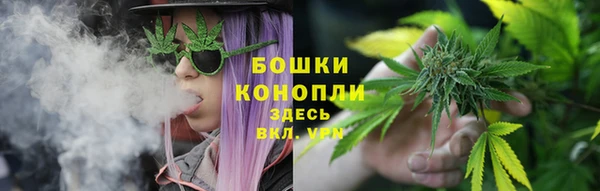шишки Баксан